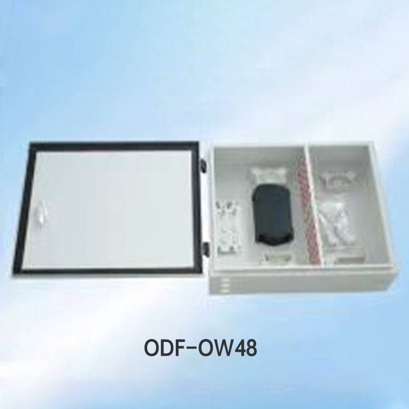 OYI-OW2 series Type