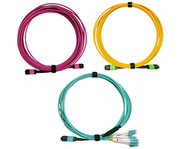 MTP / MPO Trunk Cable Patch Cord Density High